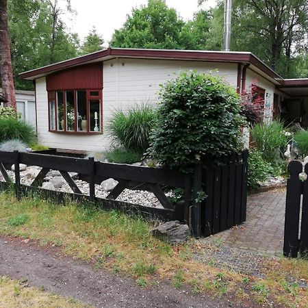 Sfeervol, Ruim En Luxe Chalet In Bosrijke Omgeving Villa Diessen Exterior photo