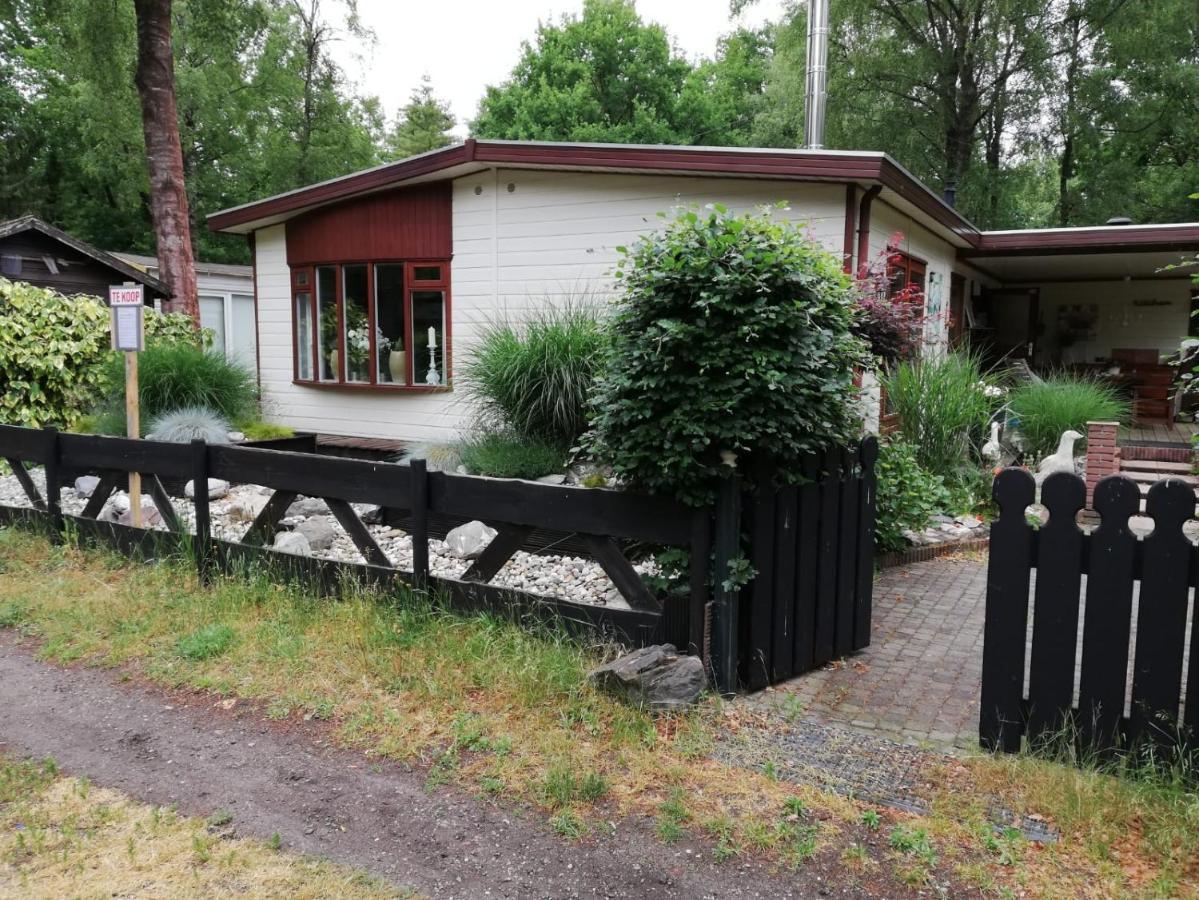 Sfeervol, Ruim En Luxe Chalet In Bosrijke Omgeving Villa Diessen Exterior photo